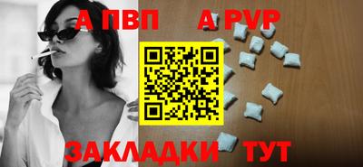 СК Новодвинск