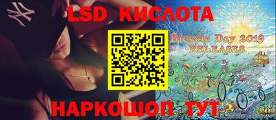 СК Новодвинск