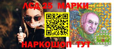 СК Новодвинск