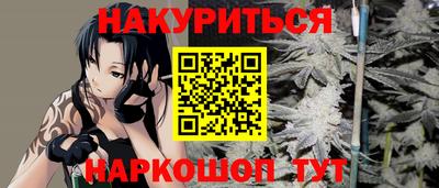 СК Новодвинск