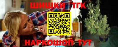 СК Новодвинск