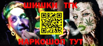 СК Новодвинск