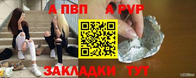 СК Новодвинск