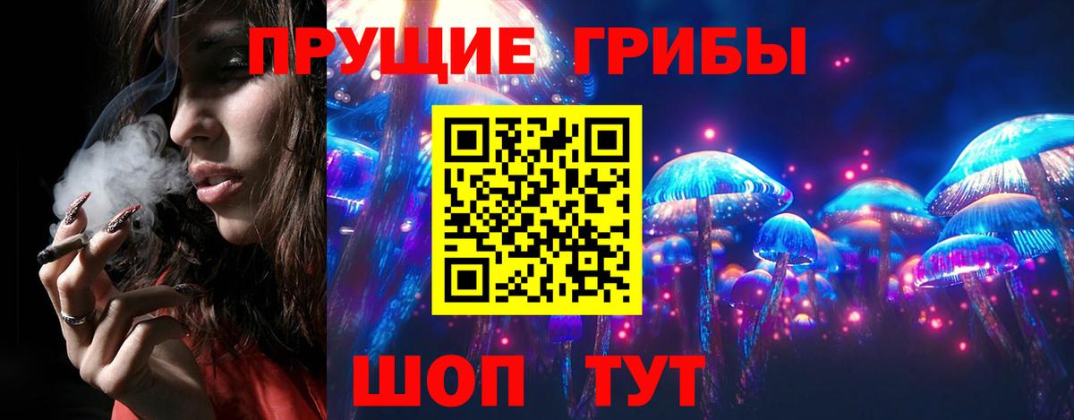 Галлюциногенные грибы Psilocybe  Вход с VPN  Санкт-Петербург  Псилоцибиновые грибы мицелий 